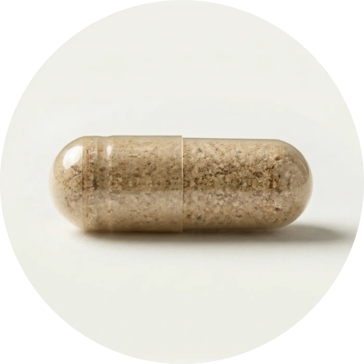 Saw Palmetto