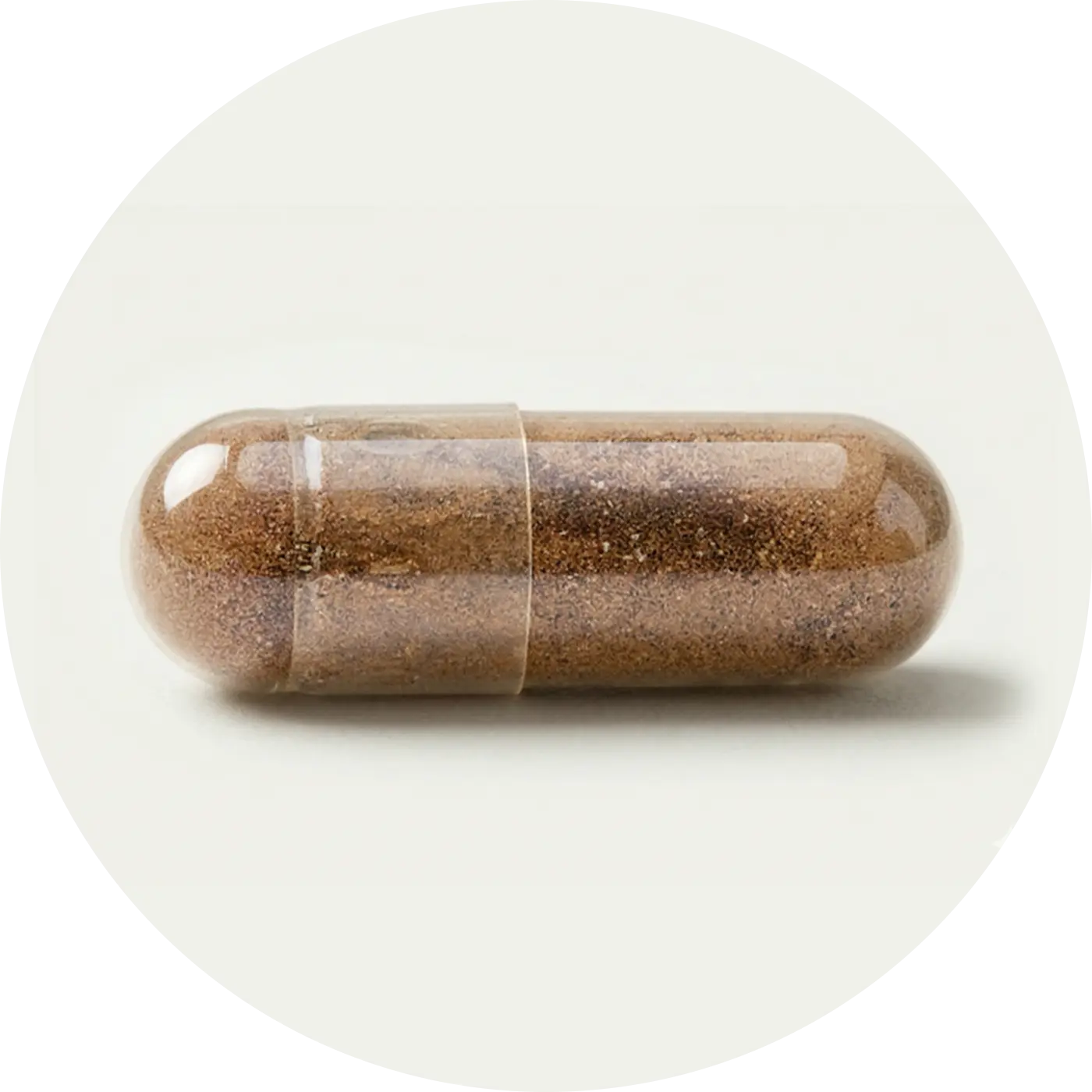 Cordyceps