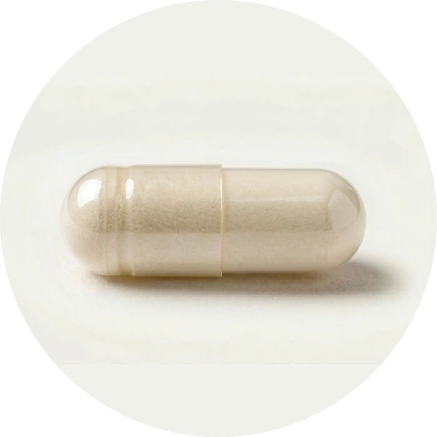 Digestive Enzymes