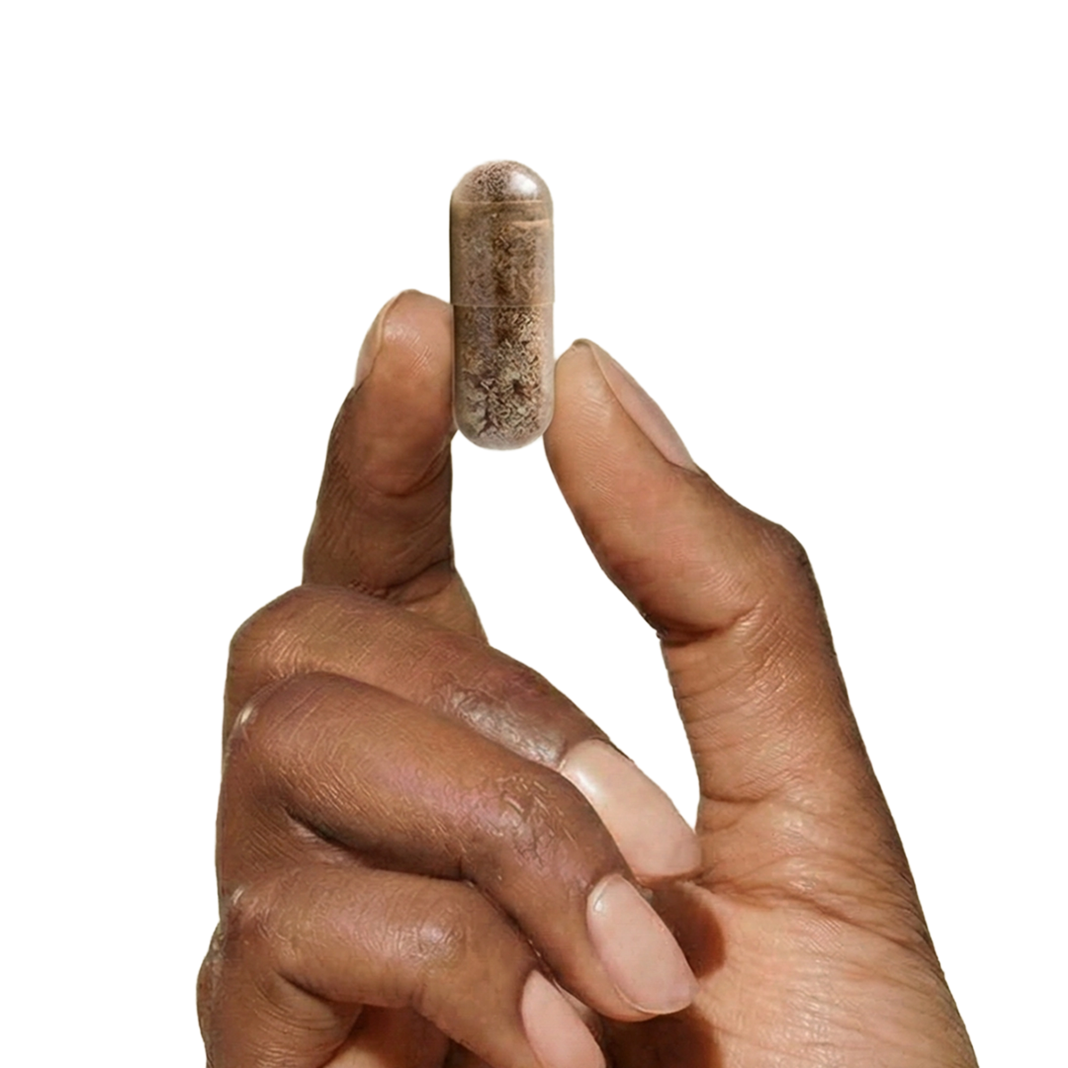 H00029WILLI