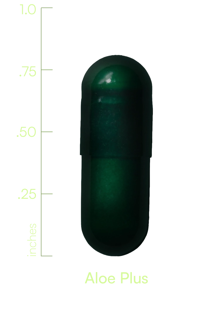 H00021WILLI