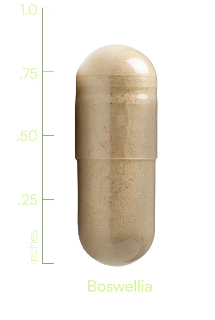 H00028WILLI