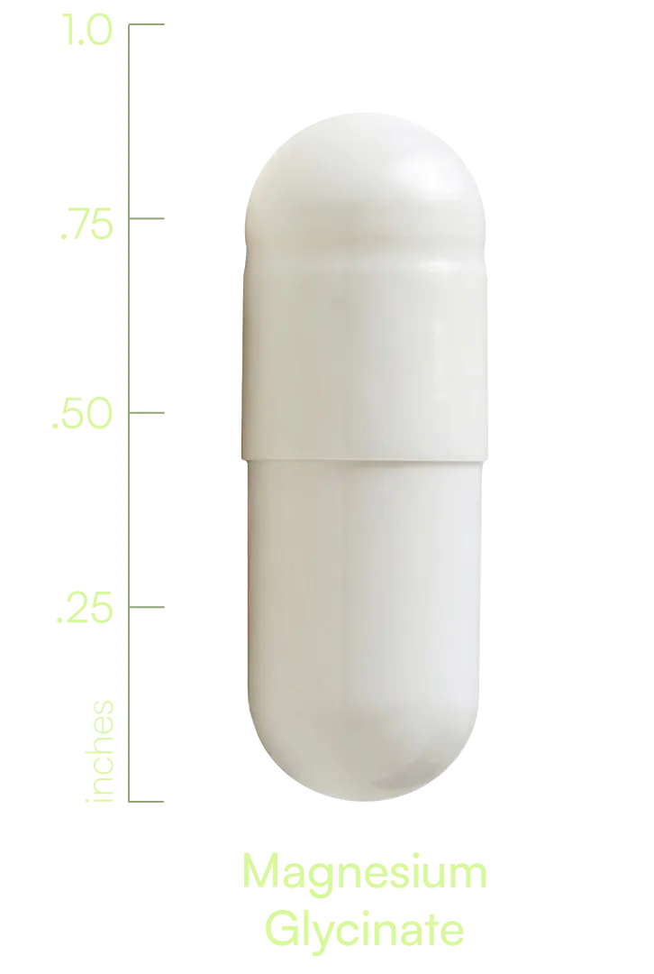 M00030WILLI