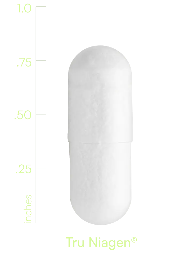 S00001TRUNI