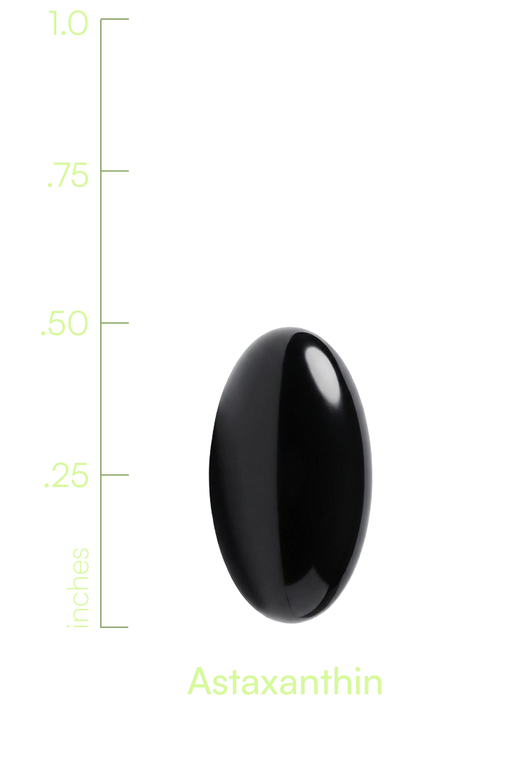 S00003NUTRI