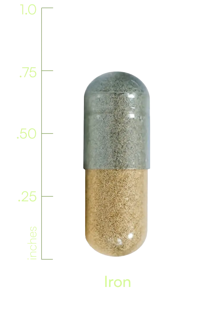 S00004ADHHE
