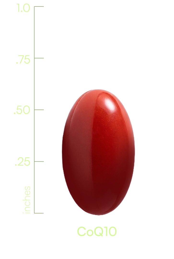 S00005CASBI