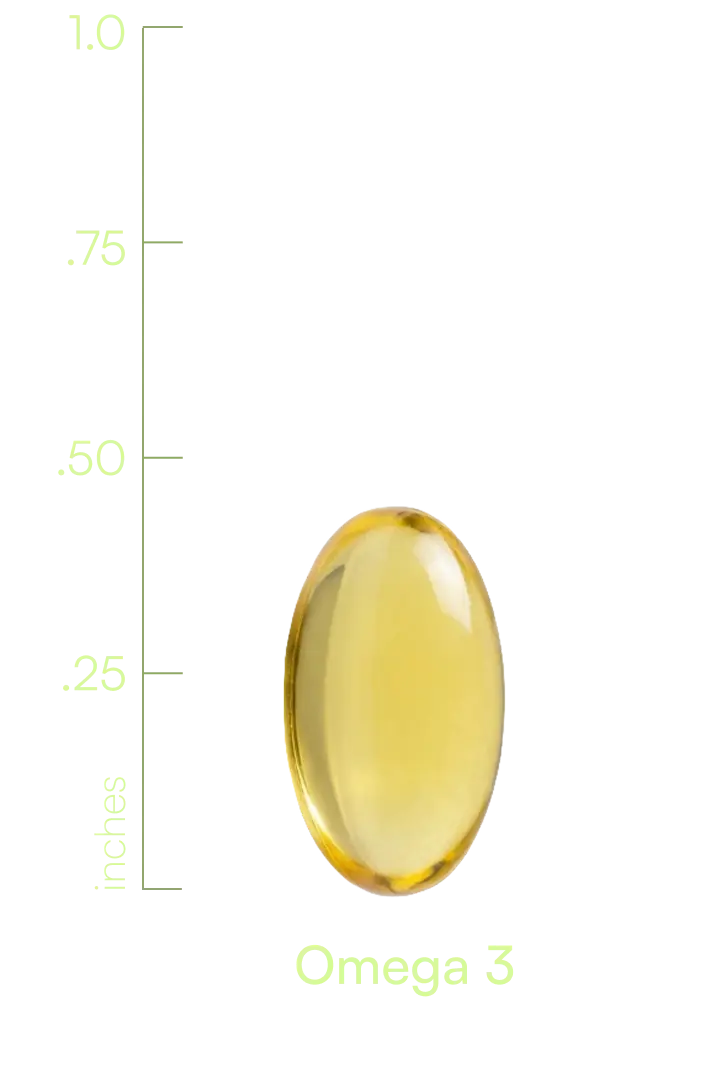 S00006WILLI