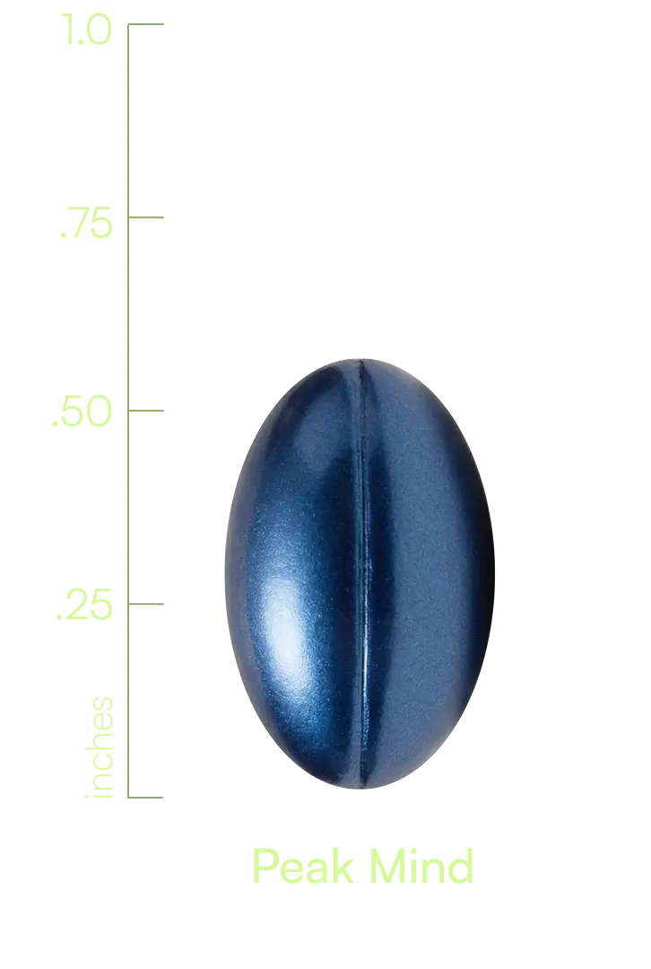 S00009CASBI