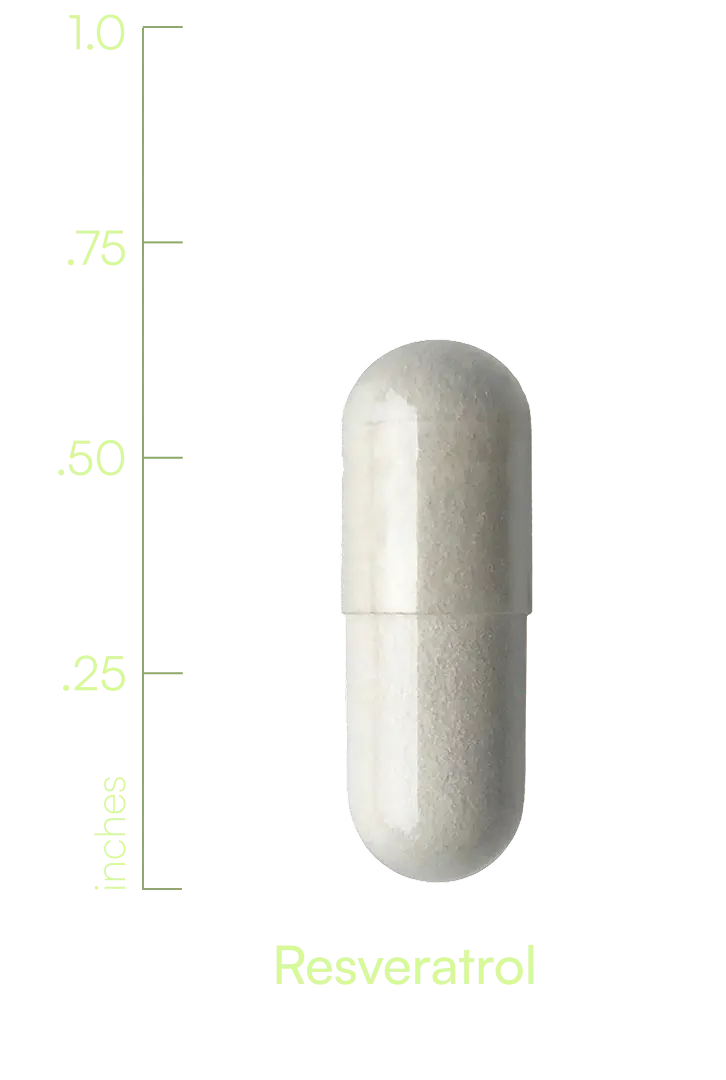 S00012CASBI
