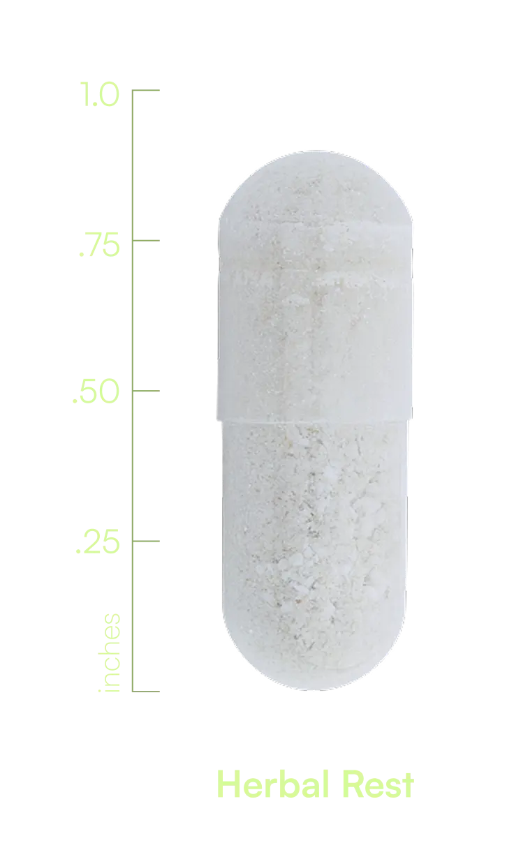 S00016WILLI