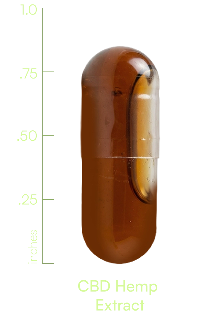 S00019WILLI