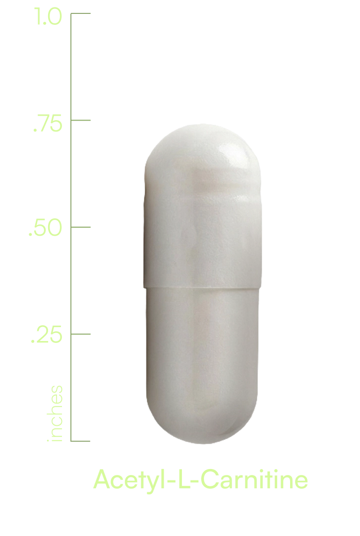 S00020WILLI