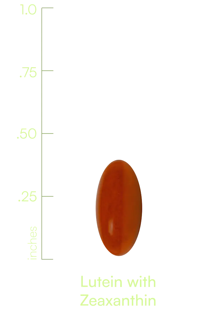 S00031WILLI
