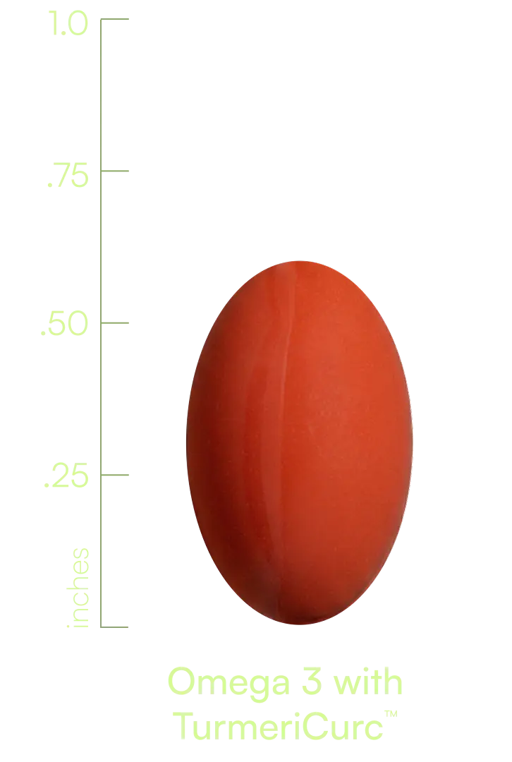 S00033WILLI