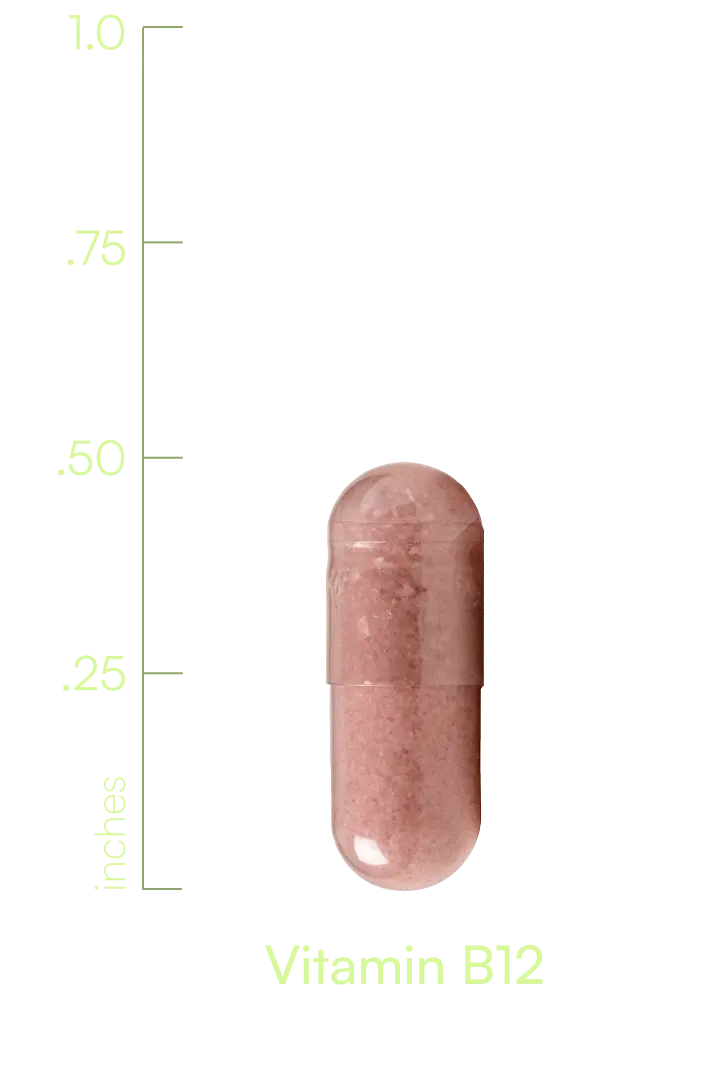 V00008CASBI
